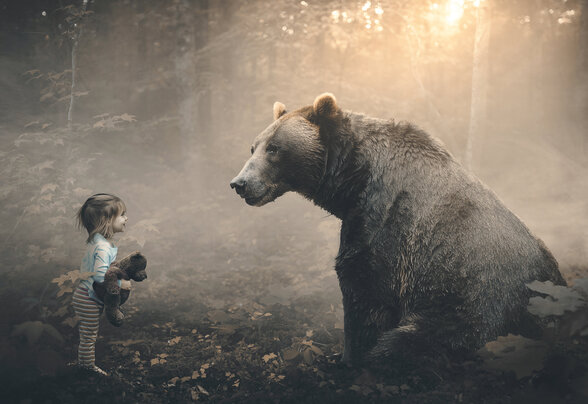 [IMAGE ALT] - Agrandir l'image, fenêtre modale