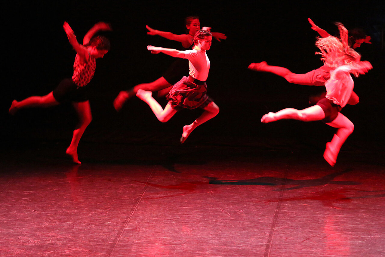 Spectacle Re-Sérénade, 11 juin 2017 au Moulin du Roc à Niort ©ODrihlon